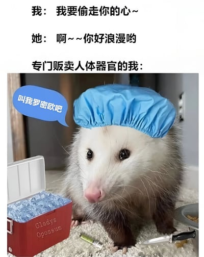 这是一张黑色幽默梗图，上方文字构建了一段对话："我：我要偷走你的心~ 她：啊~~你好浪漫哟 专门贩卖人体器官的我："，下方是一只戴着蓝色手术帽的负鼠，旁边有一个标有"Gladys Opossum"的红色冷藏箱和手术刀、注射器等医疗工具，负鼠的对话框写着"叫我罗密欧吧"。图片通过浪漫表白与器官贩卖的强烈反差制造笑点。