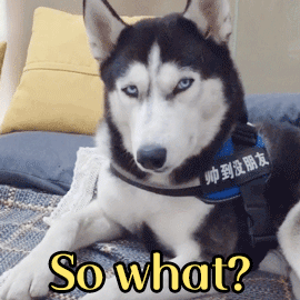 哈士奇疑惑脸：So what?