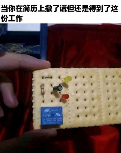 图片上方有文字“当你在简历上撒了谎但还是得到了这份工作”，下方是一只手拿着一块饼干，饼干上随意地插着几个电子元件（LED灯、电阻和电池）。这张图通过幽默的视觉隐喻，将在简历上造假却获得工作的情况比作在脆弱的饼干上搭建不稳定的电子装置，暗示这种“资格”就像饼干上的电路一样不可靠、不专业，却意外地“能工作”。