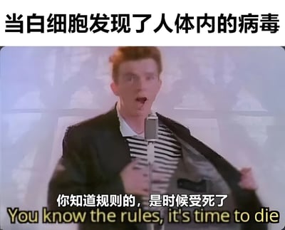 图片上方配有文字“当白细胞发现了人体内的病毒”，下方是一位真人男性，他表情激动，张开外套，手持麦克风，下方配有字幕“你知道规则的，是时候受死了”及英文翻译“You know the rules, it's time to die”。通过拟人化的方式，幽默地表现白细胞发现病毒后准备攻击的场景，将严肃的生物学现象转化为搞笑的视觉效果。