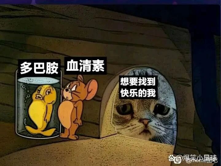 小黄鸭