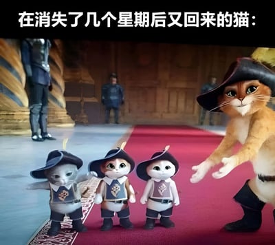 图片上方有文字“在消失了几个星期后又回来的猫：”，下方是动画电影《穿靴子的猫》中的场景。画面中，橘色的靴猫剑客戴着标志性的黑色帽子，站在红色地毯右侧，伸出爪子做出引导姿态。地毯左侧并排站着三只穿着类似制服、戴着小帽子的呆萌小猫咪。背景是城堡风格的大厅，两侧有身着盔甲的卫兵站立，整体营造出一种“大佬回归并带着小弟”的幽默反差感。