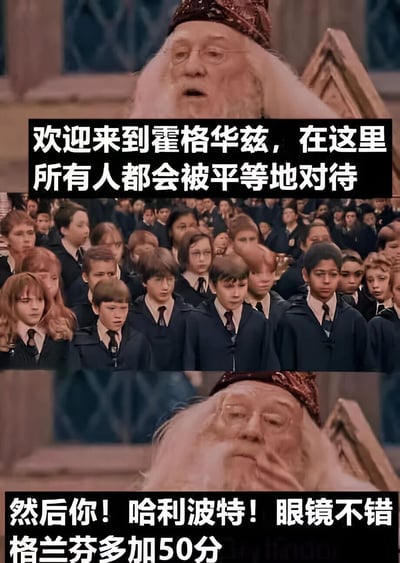 这是一张由两张哈利波特电影截图组成的上下对比梗图。上图中邓布利多戴着尖顶巫师帽，表情严肃地说："欢迎来到霍格华兹，在这里所有人都会被平等地对待"，背景是一群穿着黑色巫师袍的学生。下图中邓布利多表情变得温和，指向某人说道："然后你！哈利波特！眼镜不错格兰芬多加50分"。

图片通过前后对比制造幽默效果，讽刺了邓布利多所说的"平等对待"与实际对哈利·波特的特殊对待之间的矛盾。