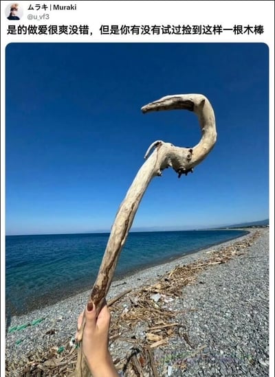 一张社交媒体梗图，上方是用户Muraki的发文："是的做爱很爽没错，但是你有没有试过捡到这样一根木棒"。图片主体是一只手握着一根形状独特的弯曲木棒，背景是海滩和蓝色海洋，通过夸张对比制造幽默效果。