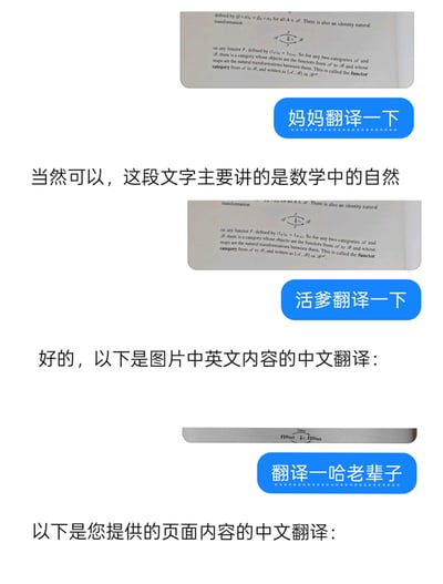 这是一个三段式的模拟AI聊天拼贴图，展示用户用三种不同的生活化称呼（“妈妈翻译一下”“活爹翻译一下”“翻译一哈老辈子”），请求AI翻译范畴论相关的英文数学专业内容，AI的回应依次从先解释内容，到直接准备翻译，再到直接开启翻译，呈现出趣味化的回应反差，用接地气的称呼和专业的数学内容形成对比，制造搞笑效果。
没有双关或谐音梗，主要靠称呼的反差和AI回应的变化来产生趣味。