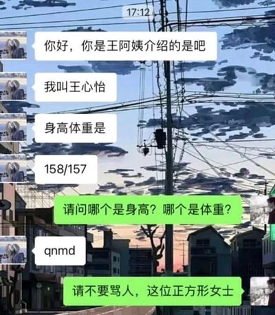 这是一张模拟相亲场景的聊天记录截图，对话内容充满趣味：女方王心怡先表明自己是王阿姨介绍的相亲对象，随后给出自己的身高体重数据“158/157”，男方疑惑询问哪个数值对应身高、哪个对应体重，女方直接用拼音首字母缩写的粗口“qnmd”回怼，男方则调侃女方为“正方形女士”。笑点在于身高和体重的数值几乎相等，外形近似正方形，男方用这个点调侃女方，形成了搞笑的对话冲突。