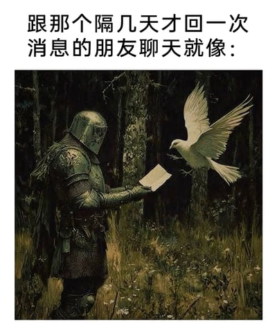 这是一张用来调侃朋友回复消息过慢的趣味梗图，上方配文“跟那个隔几天才回一次消息的朋友聊天就像：”，下方是一幅AI生成的中世纪复古风格插画：幽暗的森林环境中，身着全套复古盔甲的骑士正伸出手，接收信鸽传递而来的信件。图中用古代依赖信鸽传书、消息传递延迟极高的场景，精准类比了和隔很久才回消息的朋友聊天时，漫长等待后终于收到回复的体验，能够引发人们在朋友相处中对这种慢回复情况的共鸣。