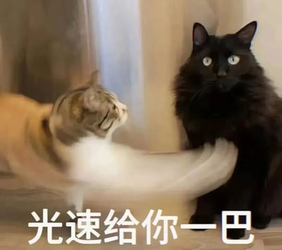 这是一张搞笑宠物表情包，画面中一只白棕花斑猫咪动作模糊，正以极快的速度挥出爪子打向旁边端坐的黑色长毛猫，黑猫瞪圆双眼，露出惊讶错愕的表情，图片下方配有白色文字“光速给你一巴”，用夸张的动态效果和猫咪的反差表情制造出搞笑的氛围，适合在社交聊天中用来表达愤怒、吐槽，或是开玩笑式的“教训”情绪。