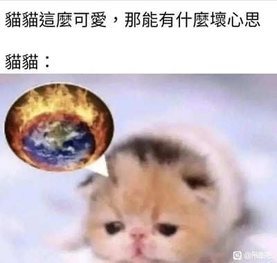 这是一张走反差搞笑路线的表情包，图片上方配有文字“猫猫这么可爱，那能有什么坏心思”，先给受众灌输猫咪天真无害的固有印象；紧接着以“猫猫：”引出猫咪的内心活动，用一个气泡框展示出地球被熊熊火焰包裹、濒临毁灭的画面，和下方软萌无辜、眼神低垂的加菲猫形成强烈的反差感，打破了大众对猫咪“无坏心思”的认知，用夸张的“坏心思”制造出荒诞的幽默效果，适合在社交场景中用来调侃自己或他人表面无害实则内心有大胆、腹黑想法的状态。