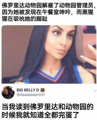 这张梗图以新闻标题的形式呈现了一个荒诞事件：佛罗里达动物园解雇了一名管理员，原因是她在午餐室呻吟时被发现有黑猩猩在吸吮她的脚趾。图片中间是一位女性的自拍照片，下方则是用户BIG BELLY D的评论："当我读到佛罗里达和动物园的时候我就知道全都完蛋了"，暗示佛罗里达经常发生离奇事件。