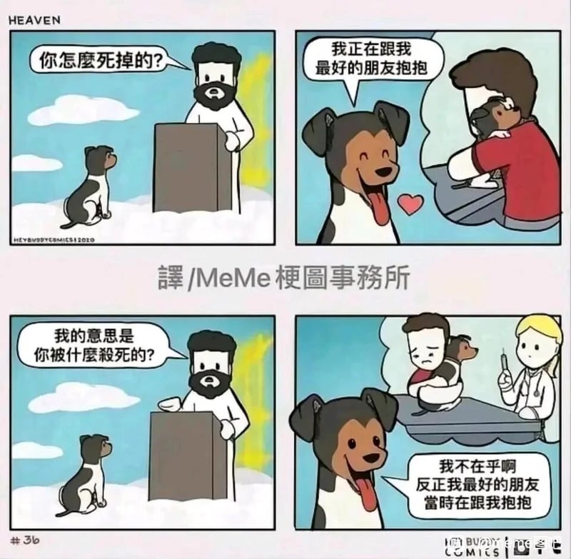 宠物医疗从业者