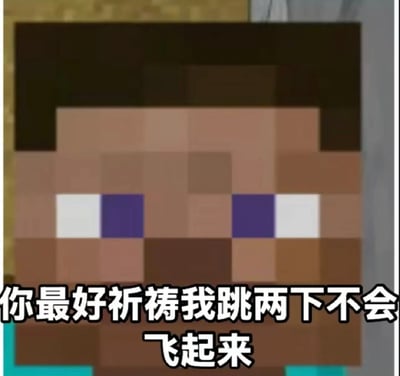这是一张基于沙盒游戏《我的世界》创作的表情包，主体是游戏初始角色史蒂夫的像素风格脸部正面特写，史蒂夫面无表情直视前方，图片底部搭配白色粗黑边的醒目文字“你最好祈祷我跳两下不会飞起来”，玩的是《我的世界》游戏中存在的连跳飞天的特性梗，用来表达调侃式的威胁、放狠话的情绪，适合在发生矛盾、向对方放狠话的社交场景下使用。