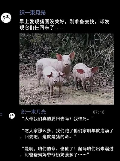 暂无描述