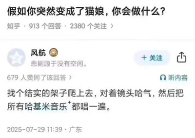 这是一张知乎平台的问答截图，问题为「假如你突然变成了猫娘，你会做什么？」，用户「风航」给出了贴合猫咪行为又结合网络热梗的回答：找个结实的架子爬上去，对着镜头哈气，然后把所有哈基米音乐都唱一遍，该回答获得了679人赞同。
其中「哈基米」是网络上对可爱猫咪的流行称呼，相关的哈基米音乐是指搭配可爱猫咪内容的热门BGM，回答将猫娘的设定和这个热梗结合，充满趣味和搞笑感。