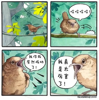 这是一则四格拟人动物漫画，第一格展示一只小鸟站在纤细的树枝上；第二格小鸟换到了粗树枝上，开怀大笑；第三格小鸟兴奋地叫嚷，称自己“作死居然成功了”；第四格小鸟更加得意地喊出“我真是太厉害了”。漫画通过拟人化的台词和小鸟越来越夸张的表情、动作，生动呈现了侥幸完成危险行为后极度自我膨胀的搞笑心态，充满反差感与幽默感。