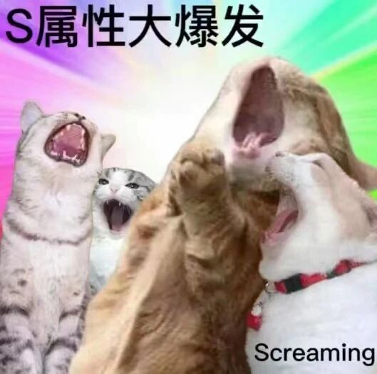 狗