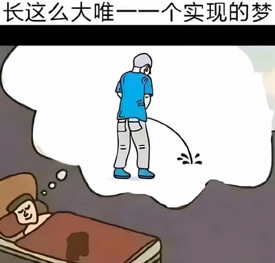 图片上方配有文字“长这么大唯一一个实现的梦”，下方是一幅卡通插画。左侧画面中，一个人躺在床上睡觉，头部有思想泡泡冒出；思想泡泡内，该人物站立着正在排尿，尿液形成弧线并溅出。整体通过幽默的方式调侃“人生中唯一实现的梦想竟是在梦中排尿”这一常见生活体验，带有自嘲和无奈的搞笑意味。