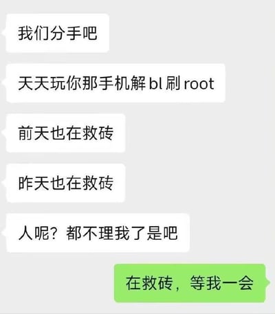 这张聊天截图梗图讲述了一对情侣的分手对话，女生抱怨男生一直沉迷于折腾手机，解BL、刷root，每天都在"救砖"（手机变砖后修复）。而当女生质问他是否不理人时，男生回复："在救砖，等我一会"，表现出极客对手机的执着以及对伴侣的忽视，形成强烈反差和幽默效果。这里“救砖”衍生出感情“关系已无救”与“手机修复”的双关意味。