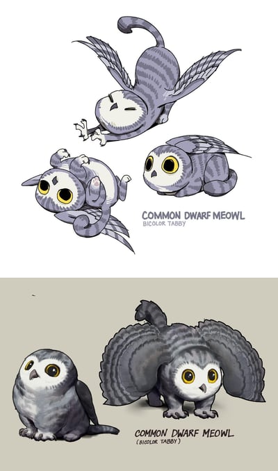 图片展示了一种名为“Common Dwarf Meowl (Bicolor Tabby)”的虚构混合生物设计，融合了猫与猫头鹰的特征。画面分为上下两部分：上方为三组线稿风格插画，分别呈现该生物倒着飞行（翅膀展开、尾巴卷曲）、仰卧蹬腿（露出肚皮）、坐姿睁眼（圆眼呆萌）的姿态；下方为两组带阴影的细致插画，左侧是直立坐姿的好奇模样，右侧是展翅站立的警惕姿态。所有形象均具有猫的虎斑条纹身体、猫头鹰的面部轮廓、巨大黄色圆形眼睛及羽毛翅膀，整体风格可爱治愈。