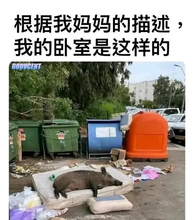 这张梗图上方配有大字说明：“根据我妈妈的描述，我的卧室是这样的”。配图是一只野猪躺在废旧床垫上，床垫被丢在户外垃圾桶旁，四周散落杂物垃圾。画面极度凌乱，营造出和“脏乱差”卧室的强烈对比，幽默夸张地反映出许多妈妈总爱把子女的房间形容得夸张不堪。图中有显著的视觉反差和自嘲意味，有一定双关和暗示成分：以野猪和垃圾作为对比，映射青少年成长中被家长指责不爱干净的生活状态。