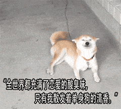 一只柴犬躺在地面上，表情看起来有些得意又带点自嘲。图中重复出现文字“全世界都充满了恋爱的臭味，只有我散发着单身狗的清香”，通过动态效果强化了单身狗对周围恋爱氛围的调侃，展现出一种幽默的自我安慰心态。