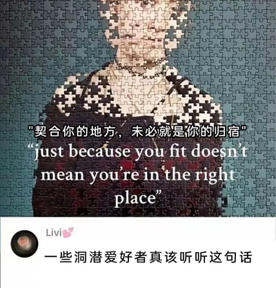 这是一张发布在社交平台上的创意梗图，主体是一幅被错误拼接的古典人物肖像拼图：人物的脸部与肩部区域使用了不属于该肖像的拼图块，这些拼图块虽然能完美嵌入对应位置，但与人物原本的形象完全不符，形成了“契合但错误”的视觉效果。图中叠加了中英文对照的文字：“契合你的地方，未必就是你的归宿”以及英文“just because you fit doesn't mean you're in the right place”，传递出“适合不代表正确”的人生感悟。在图片下方，用户Livi发布评论“一些洞潜爱好者真该听听这句话”，针对洞潜的场景玩梗——洞潜过程中，部分狭窄洞穴虽然能让潜水者勉强通过，但这类区域往往暗藏危险，并非安全的行进路线，用拼图的视觉隐喻精准对应了洞潜中的潜在风险，让这张图既有哲理意味，又有针对特定爱好群体的趣味延伸。