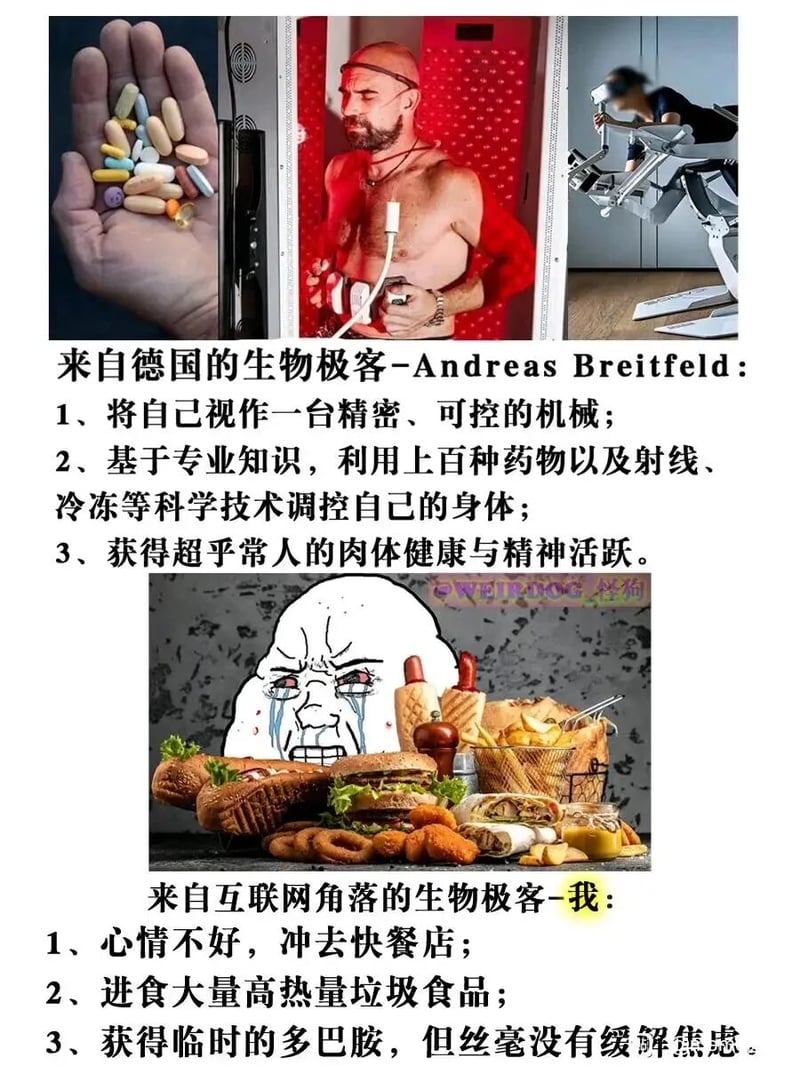 普通网友