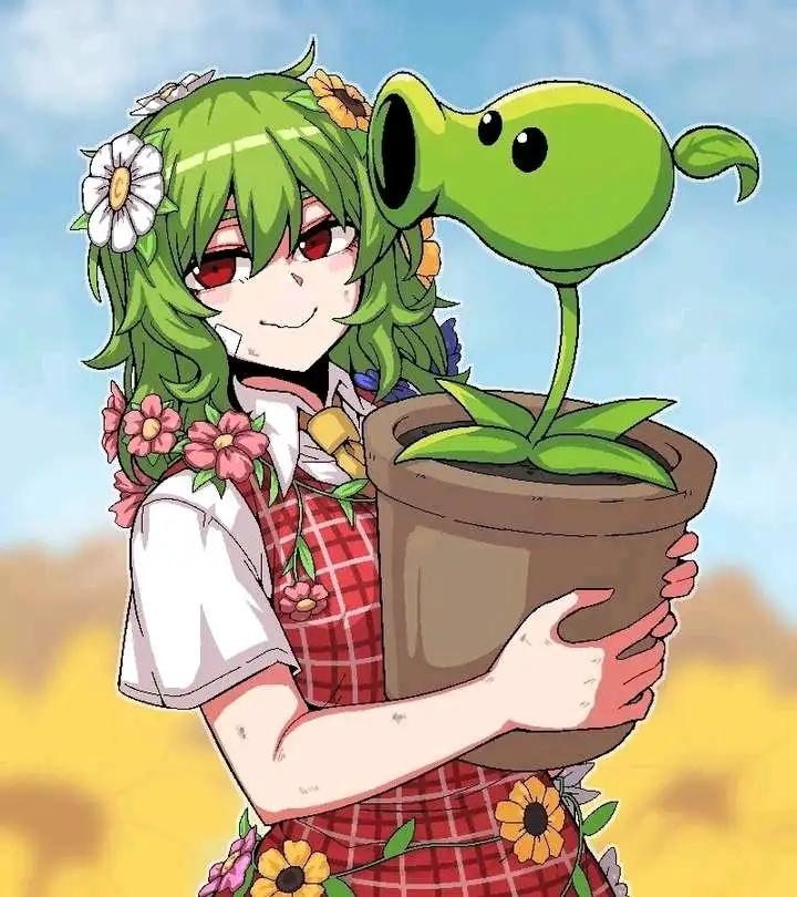 风见幽香