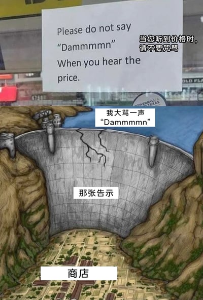 这是一张多图拼接的搞笑谐音梗图，上半部分是商店张贴的告示牌，英文内容为“Please do not say "Dammmmn" When you hear the price.”，配有中文翻译“当您听到价格时，请不要咒骂”；下半部分是一幅大坝的卡通插画，将告示牌拟作大坝，大坝下方的区域标注为“商店”，同时配有文字“我大骂一声‘Dammmmn’”。图中利用“Dammmmn”与“Dam（大坝）”的谐音关系，制造出顾客的吐槽仿佛具有摧毁性力量，让“大坝告示”开裂、即将波及下方商店的夸张效果，以此调侃商品价格过高，让人忍不住吐槽的真实情绪。