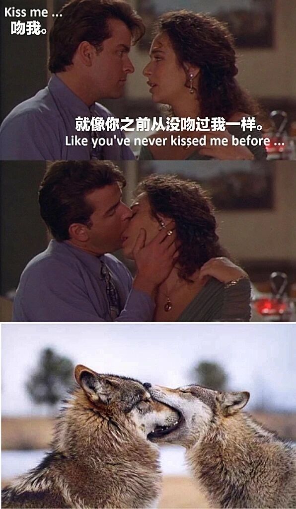 野生动物摄影