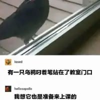 乌鸦