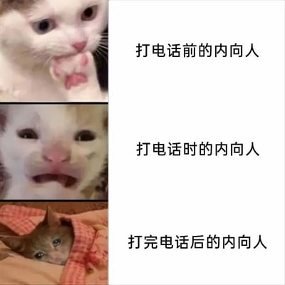 这是一张三格纵向拼接的梗图，通过三只不同表情的猫来幽默展现内向人打电话的三个阶段。第一格是打电话前的内向人，一只白猫用爪子捂着嘴，眼神焦虑不安；第二格是打电话时的内向人，一只白猫表情紧张，嘴巴微张；第三格是打完电话后的内向人，一只猫躲在毯子里，露出疲惫的眼神。图片通过猫咪生动的表情变化，夸张地表现了内向者在社交沟通中的心理状态变化，引发共鸣。