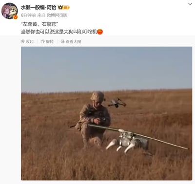 图中展示了一名身着迷彩服的军人蹲在枯黄的草地上，手持设备同时操控着面前的四足军用机器人（机器狗）和悬停在空中的小型无人机。微博博主配文引用苏轼的诗句“左牵黄，右擎苍”，并玩梗调侃这是“大狗叫和叮咚机”，将古典诗词与现代军事装备结合，制造出诙谐的反差感。
双关玩梗说明：诗句中的“黄”原指猎犬，这里对应机器狗（戏称大狗）；“苍”原指猎鹰，这里对应无人机（戏称叮咚机），用古典表述调侃现代科技装备，趣味十足。
