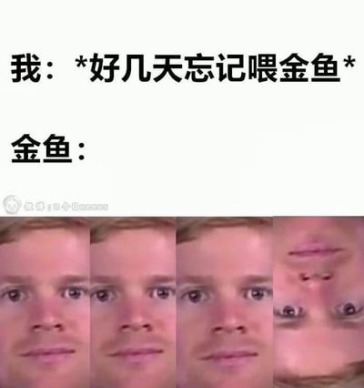 这张梗图采用图文结合的形式，上方文字标注“我：*好几天忘记喂金鱼*”，下方通过四张拼接的真人表情包来拟人化表现金鱼的状态：前三张是表情逐渐变得呆滞、无神的正面人脸，第四张是完全翻转过来的人脸，以此模拟金鱼因为长时间未被喂食，最终翻肚皮濒临死亡的样子，用夸张的拟人手法调侃了日常忘记喂宠物的疏忽行为，充满趣味性。