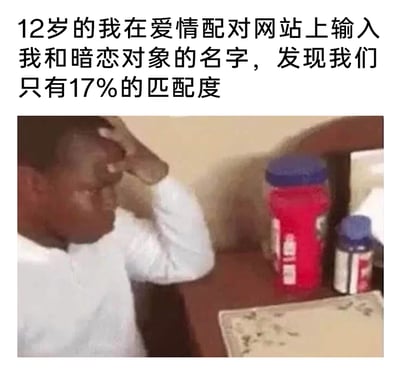 这是一张图文结合的搞笑梗图，上方文字讲述了12岁的自己在爱情配对网站输入自己和暗恋对象的名字后，得到仅17%匹配度的经历，下方配图是一位神情沮丧、单手扶额的小男孩，他低落崩溃的姿态完美呼应了文字里少年面对低配对度的失落与难过，用幽默的方式展现出青春期懵懂暗恋时的无厘头小焦虑和青涩情绪。