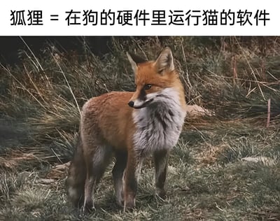 图片上方配有文字“狐狸 = 在狗的硬件里运行猫的软件”，下方是一张真实拍摄的狐狸照片。狐狸通体呈橙红色，颈部和胸部有白色毛发，正站立在长满杂草的地面上，侧头望向左侧，神态平静中带着一丝警觉。图片通过将狐狸比喻为“在狗的硬件里运行猫的软件”，用科技领域的“硬件”“软件”概念幽默地形容狐狸兼具狗和猫某些特征的独特属性，既形象又有趣。
