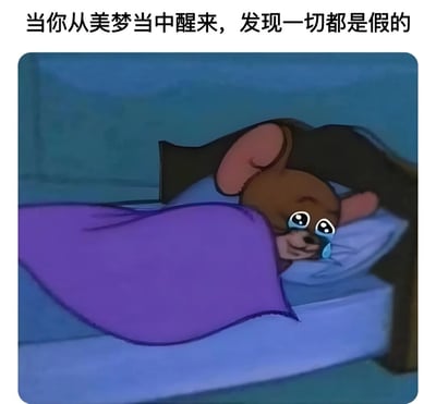 图片展示了一只卡通熊躺在床上，盖着紫色的被子，眼睛里含着泪水，表情悲伤。图片上方配有文字：'当你从美梦当中醒来，发现一切都是假的'，表达了从美好梦境回到现实后的失落与失望情绪。