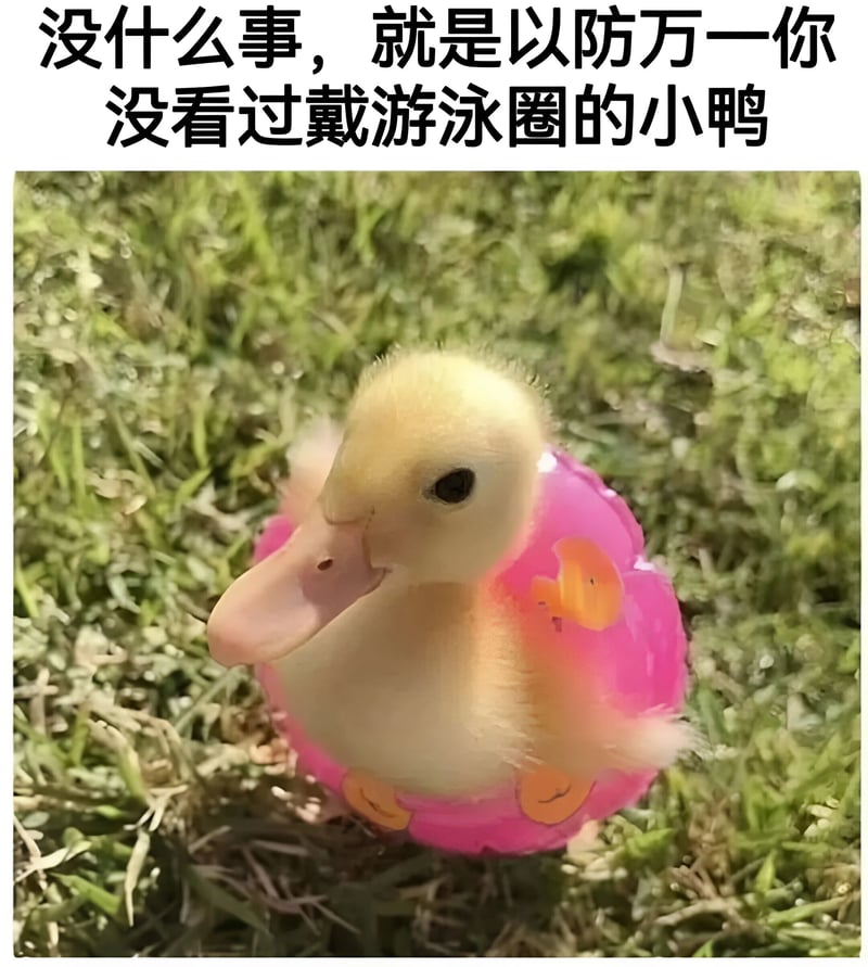 小黄鸭