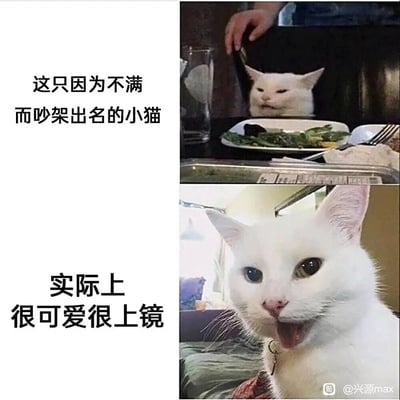 这是一张上下拼接的对比图文，上图展示了因不满吵架的表情包走红的白色猫咪，它从椅子后方探出头，神态严肃，配文“这只因为不满而吵架出名的小猫”；下图则是这只猫咪的日常状态，它睁着圆溜溜的大眼睛，张嘴吐舌，模样软萌可爱，配文“实际上很可爱很上镜”，通过强烈的反差感，展现了这只网红猫咪的不同面，十分有趣。
