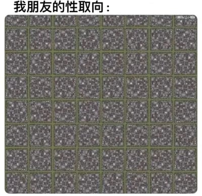 图片顶部配有文字“我朋友的性取向：”，下方是一个由多个灰色像素风格小方格组成的网格图案，方格排列整齐但内容模糊，无法辨识具体形状或信息。通过将“性取向”这一概念与模糊不清的网格图像结合，以幽默调侃的方式暗示朋友的性取向难以定义或充满神秘感，营造出轻松搞笑的效果。