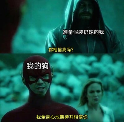 这是一张改编自美剧《闪电侠》截图的搞笑梗图，采用上下分栏的呈现形式。上半部分是身着深色连帽衫的角色，被标注为“准备假装扔球的我”，配文“你相信我吗？”，角色神态严肃；下半部分是闪电侠的角色被标注为“我的狗”，配文“我全身心地期待并相信你”，闪电侠表情激动、神态急切，生动还原了主人假装扔球逗弄狗狗，狗狗却对主人毫无保留、满怀期待的日常搞笑场景，用影视角色的情绪和对话放大了宠物与主人之间的趣味互动。