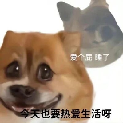 这是一张经过P图改编的静态表情包，采用单图图文混排的呈现形式。画面前景是一只面带刻意假笑、神态故作积极的柴犬，下方配文“今天也要热爱生活呀”，传递出一种表面的正能量态度；画面后方则半隐着一只表情颓废、充满丧意的猫咪，旁边配文“爱个屁 睡了”，直白地表达出摆烂躺平的真实内心。两者的情绪与文字形成强烈反差，精准戳中了当代年轻人在生活中被迫维持积极表象，实则内心渴望放松躺平的矛盾心理，非常适合在社交聊天中用来表达自己的真实情绪。