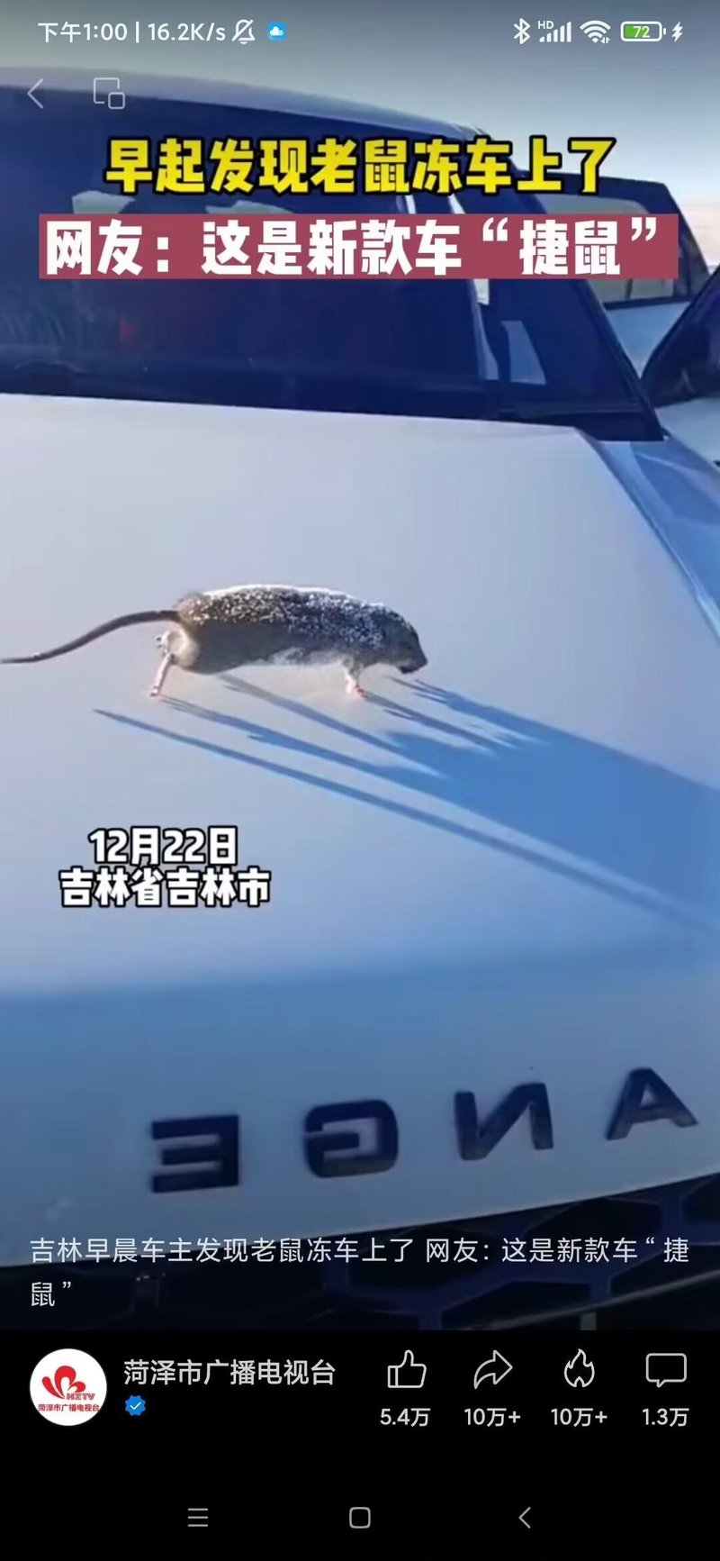 老鼠