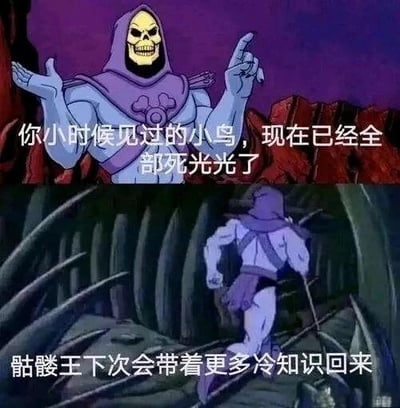 这是一张由美国经典动画《宇宙的巨人希曼》中骷髅王的两张截图拼接而成的网络梗图，属于上下对比的多图拼接形式。上半部分中，骷髅王摆出摊手加指向上方的姿态，配文“你小时候见过的小鸟，现在已经全部死光光了”，用一句略带伤感的冷知识戳中观者，引发对时光流逝的感慨；下半部分骷髅王背身持杖奔跑，配文“骷髅王下次会带着更多冷知识回来”，以幽默的方式预告后续内容，用经典动画角色的反差表现，让冷知识的传递更具趣味性和传播性，图中无谐音、双关等特殊梗。