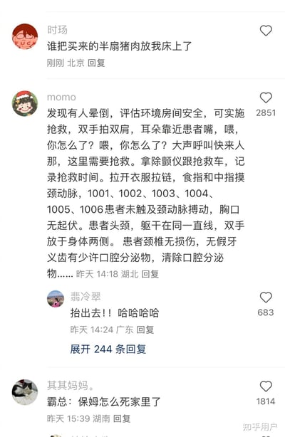 这张图是某平台上一组热门评论截图，围绕“谁把买来的半扇猪肉放我床上了”一句展开。有网友一本正经地从专业救护角度详细科普了现场急救流程，形成强烈的戏谑和反差喜感；下方网友则用“捡出去！”、“保姆怎么死家里了”等搅局神评将话题进一步玩梗升级。整体氛围轻松搞笑，属于熟人社交和兴趣圈常见的神评型表情包。本图没有明显的谐音梗，但有戏谑、误用专业知识的幽默感。