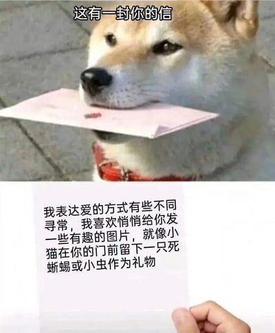 这是一张上下拼接的梗图，上半部分是一只戴着红色项圈的柴犬嘴里叼着一个粉色信封，上方配有文字'这有一封你的信'。下半部分是一只手拿着一张写有文字的纸，内容为：'我表达爱的方式有些不同寻常，我喜欢悄悄给你发一些有趣的图片，就像小猫在你的门前留下一只死蜥蜴或小虫作为礼物'。图片通过将柴犬送信的可爱形象与幽默的文字内容结合，用猫咪送礼的比喻来形容通过分享有趣图片表达爱意的独特方式，营造出一种既温馨又搞笑的效果。