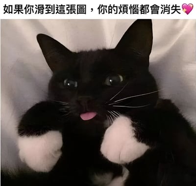 图片上方有一行文字：'如果你滑到這張圖，你的煩惱都會消失'并带有粉色爱心emoji。下方是一只黑白色猫咪的特写，猫咪主体为黑色，爪子是白色的，正吐着粉色的舌头，前爪微微抬起，眼神无辜可爱，背景是浅色的布料。整体给人治愈、放松的感觉，通过可爱的猫咪形象和安慰性文字传递消除烦恼的积极情绪。