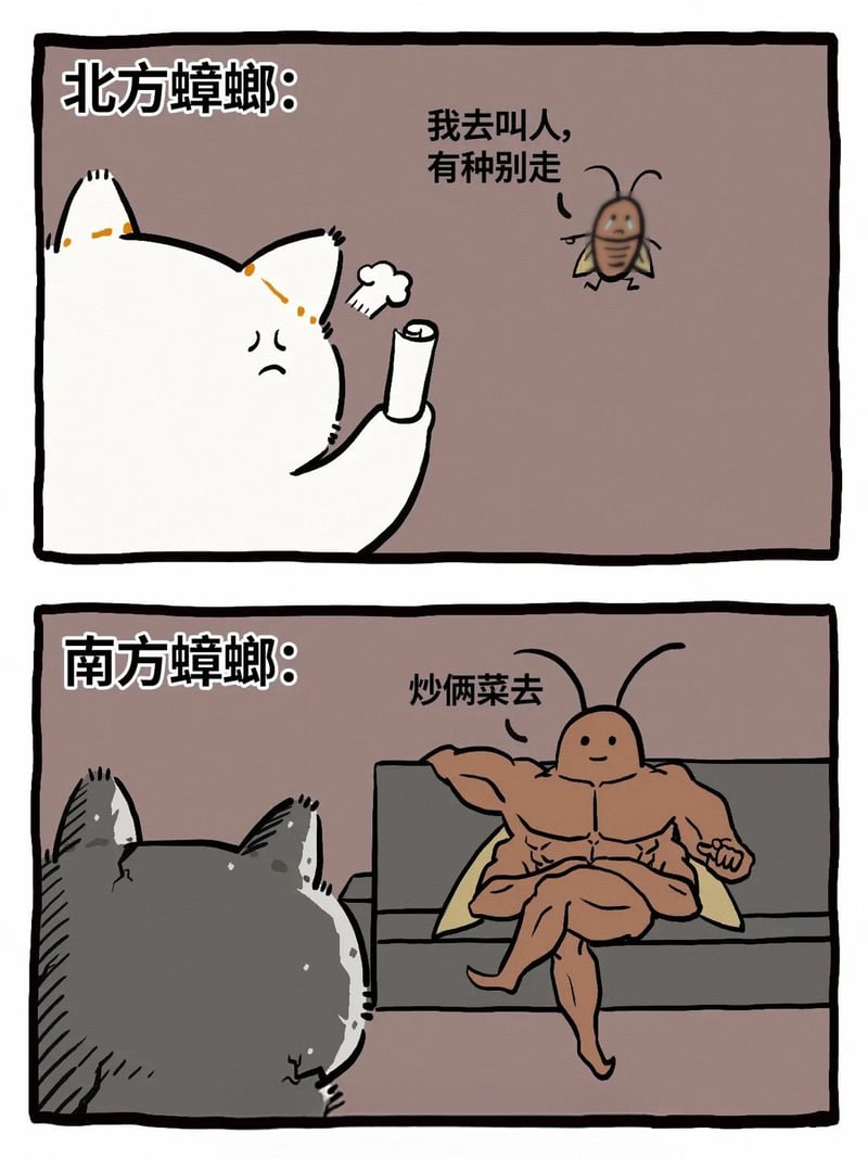 南北蟑螂差异原创漫画
