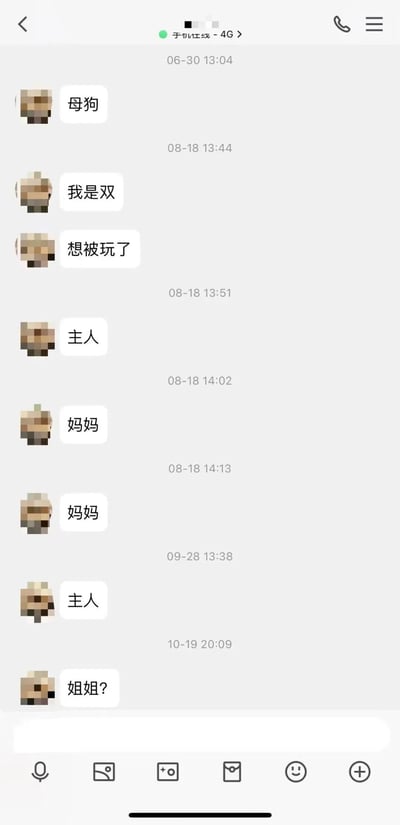 这是一张手机聊天记录截图，显示了一系列简短的对话消息。界面采用竖屏手机格式，顶部显示手机信号为4G，时间从6月30日到10月19日不等。左侧是发送者的像素化头像，右侧是白色背景的消息气泡，包含"母狗"、"我是双"、"想被玩了"、"主人"、"妈妈"和"姐姐?"等内容。截图底部显示了常见的聊天应用功能按钮，包括语音、图片、视频、文件、表情和更多选项。