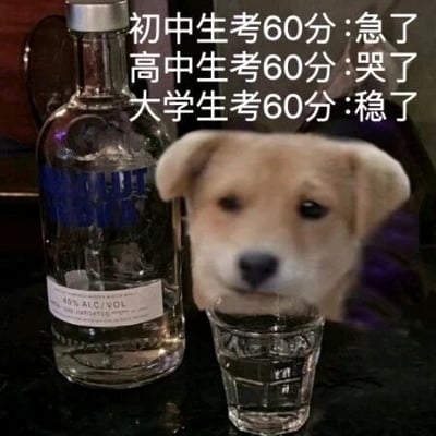 这是一张经过P图改编的静态图文混排图，画面左侧是一瓶伏特加酒，右侧是一只玻璃杯，杯口处被P上了一只小狗的头部，小狗神态看起来有些无奈。图片上方配有三段对比文字，分别描述了初中生、高中生、大学生考60分的不同反应：初中生考60分会着急，高中生考60分会哭泣，大学生考60分则觉得稳了。该图精准调侃了不同学习阶段的分数压力差异，初中生和高中生面临升学压力，60分属于较低分数，而大学生的60分意味着及格，不会挂科，因此心态完全放松。
